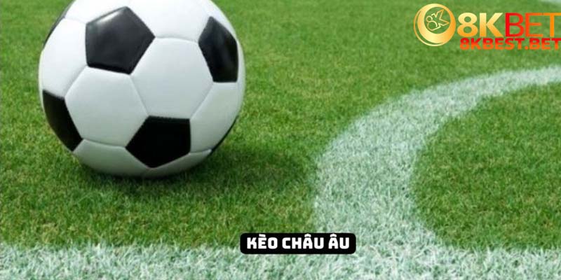 Cược châu Âu sở hữu đa dạng hình thức đặt tiền