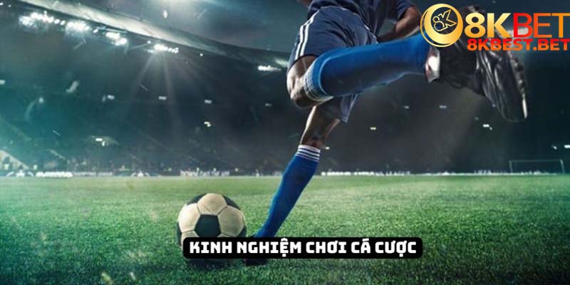 Tuyệt đối không được lựa chọn theo cảm tính